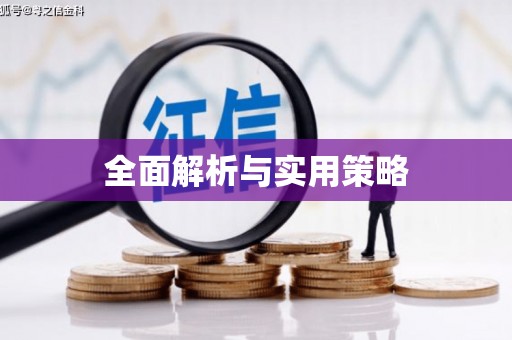 集美全面解析与实用策略