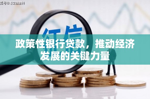 平鲁政策性银行贷款，推动经济发展的关键力量