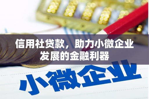 隰县信用社贷款，助力小微企业发展的金融利器