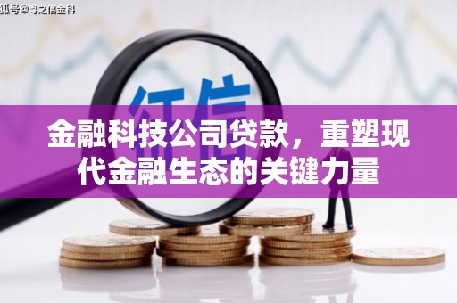 东丽金融科技公司贷款，重塑现代金融生态的关键力量