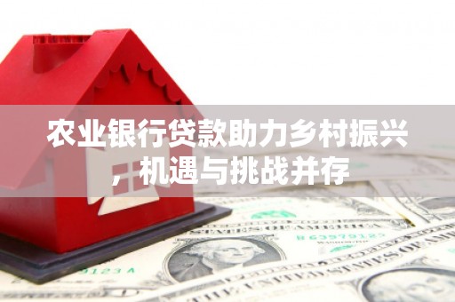 海宁农业银行贷款助力乡村振兴，机遇与挑战并存