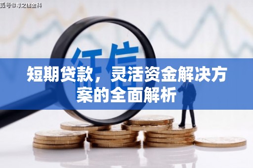 永善短期贷款，灵活资金解决方案的全面解析