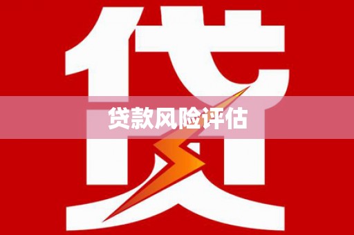 西螺贷款风险评估