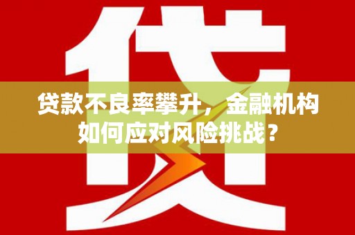 玉门贷款不良率攀升，金融机构如何应对风险挑战？