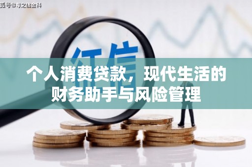 耒阳个人消费贷款，现代生活的财务助手与风险管理