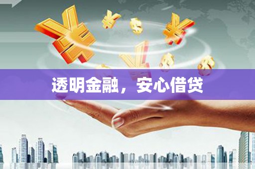 紫云透明金融，安心借贷