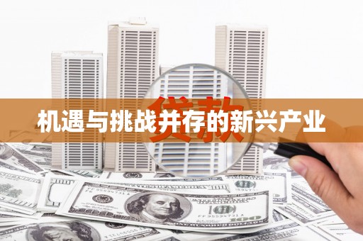 武鸣机遇与挑战并存的新兴产业