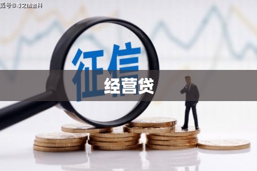 西华经营贷