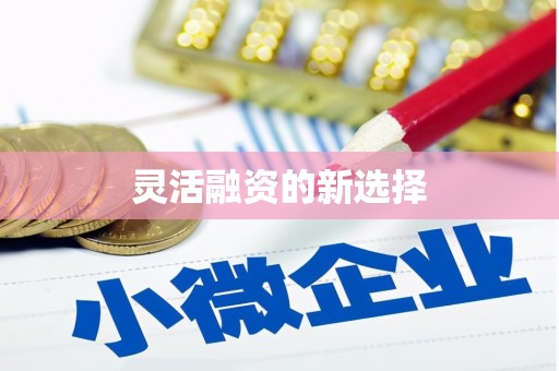 琼结灵活融资的新选择
