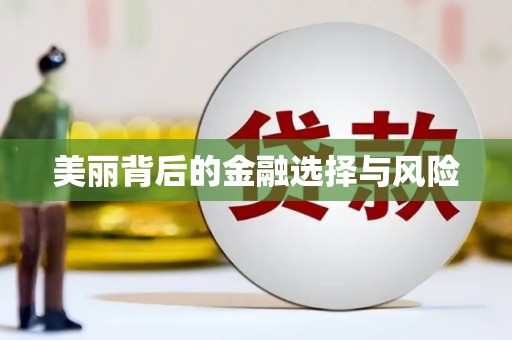 鼓楼美丽背后的金融选择与风险