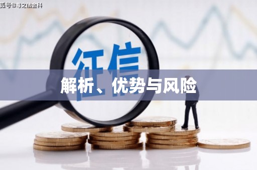 洪洞解析、优势与风险