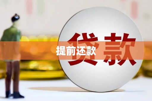 南丹提前还款
