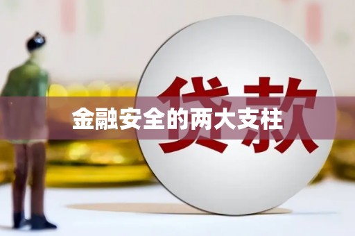 青神金融安全的两大支柱