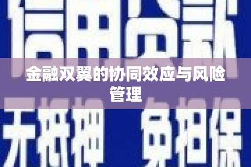 天元金融双翼的协同效应与风险管理