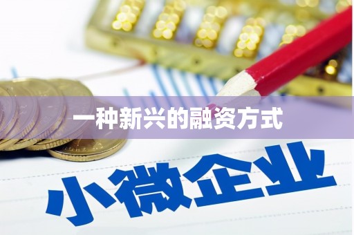 汉源一种新兴的融资方式