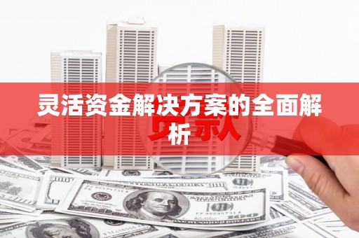 称多灵活资金解决方案的全面解析