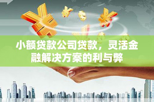 鼎城小额贷款公司贷款，灵活金融解决方案的利与弊