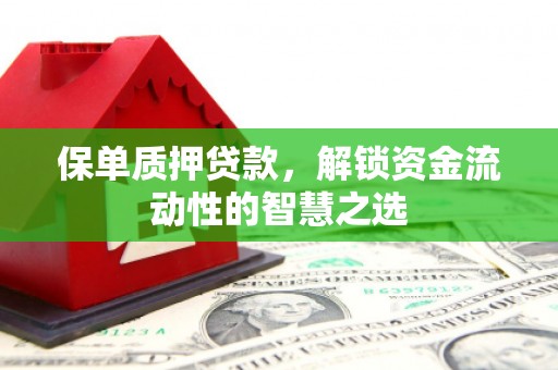 二水保单质押贷款，解锁资金流动性的智慧之选