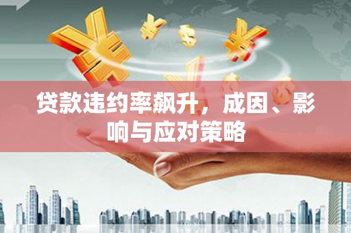 曲麻莱贷款违约率飙升，成因、影响与应对策略